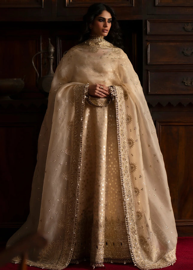 Saad Bin Shahzad | Silk'25 - Saphina