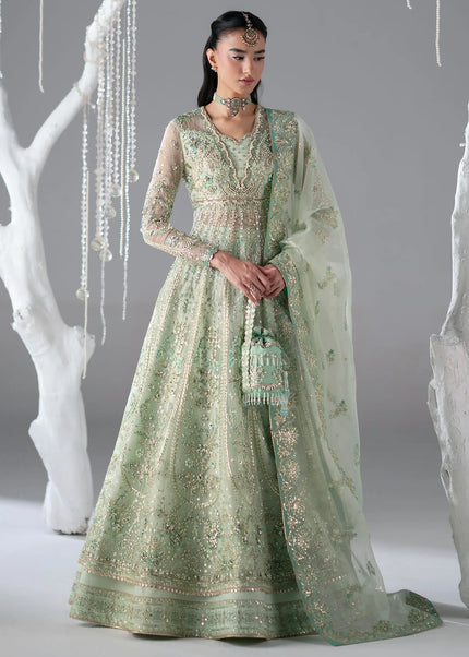Mohid Shahzad | Eliana Festive '26 - Stella
