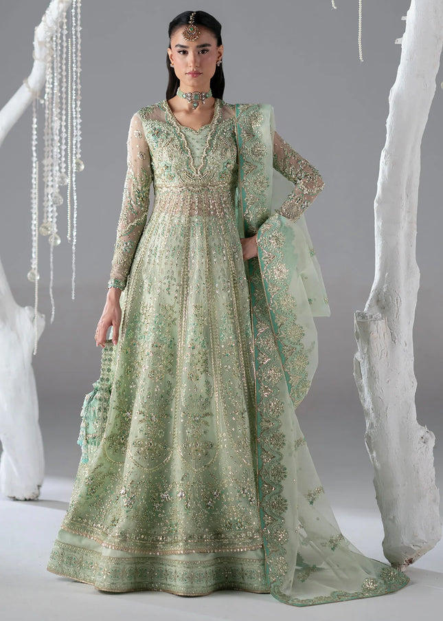 Mohid Shahzad | Eliana Festive '26 - Stella