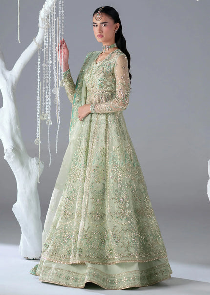 Mohid Shahzad | Eliana Festive '26 - Stella