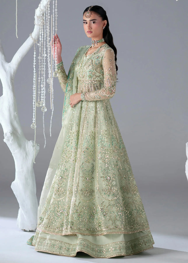 Mohid Shahzad | Eliana Festive '26 - Stella