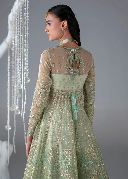 Mohid Shahzad | Eliana Festive '26 - Stella