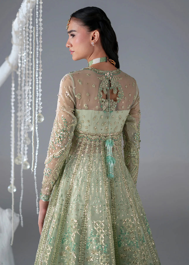 Mohid Shahzad | Eliana Festive '26 - Stella