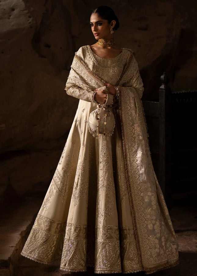 Saad Bin Shahzad | Silk'25 - Zimal