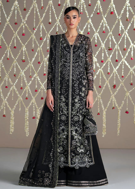 Mohid Shahzad | Eliana Festive '26 - Nova