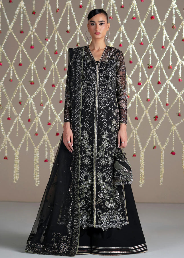 Mohid Shahzad | Eliana Festive '26 - Nova