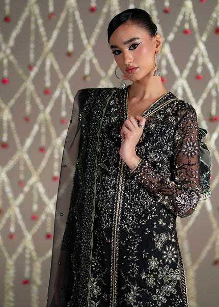 Mohid Shahzad | Eliana Festive '26 - Nova
