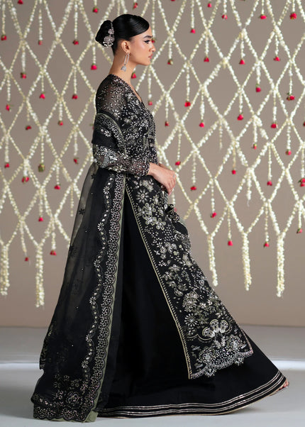 Mohid Shahzad | Eliana Festive '26 - Nova