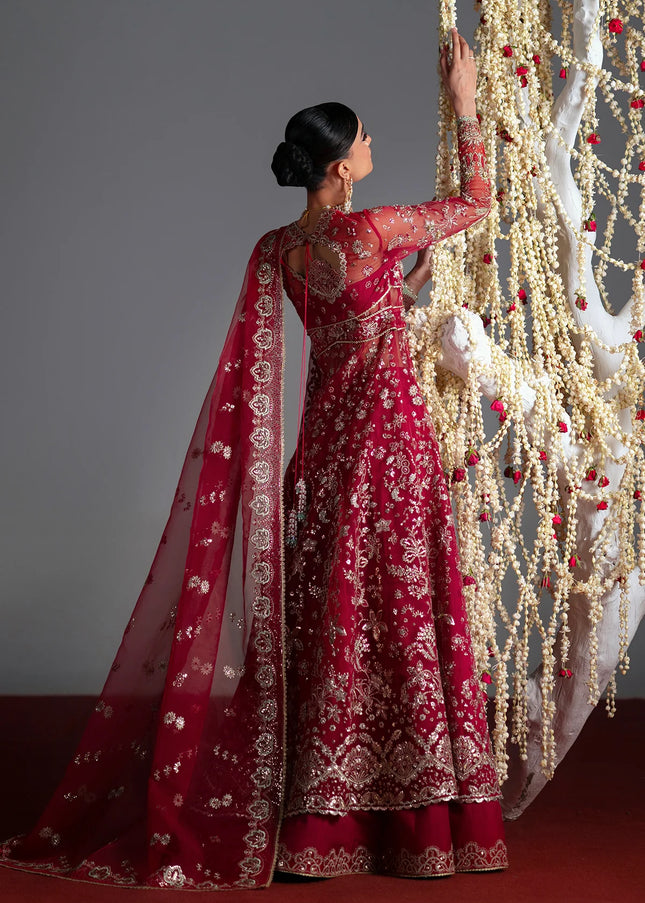 Mohid Shahzad | Eliana Festive '26 - Roselyn