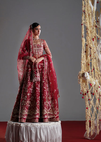 Mohid Shahzad | Eliana Festive '26 - Roselyn