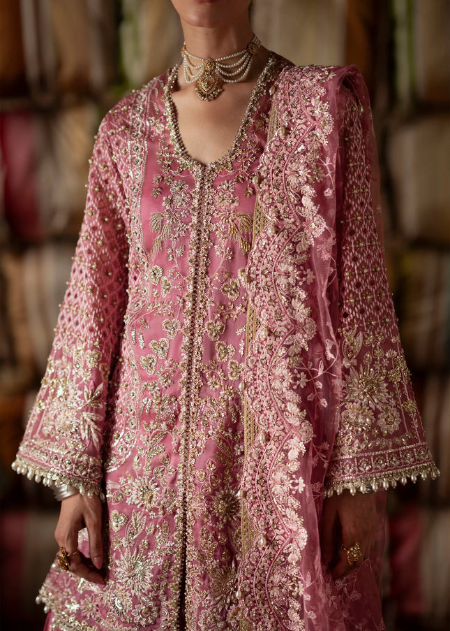 Saad Bin Shahzad | Laavni'25 - Selah