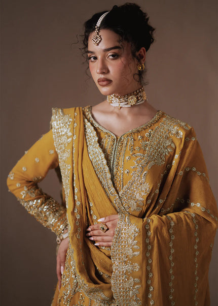 Zarposh | Jahanara Vol 2 - Dhanak