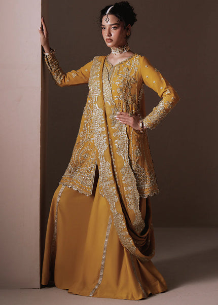 Zarposh | Jahanara Vol 2 - Dhanak