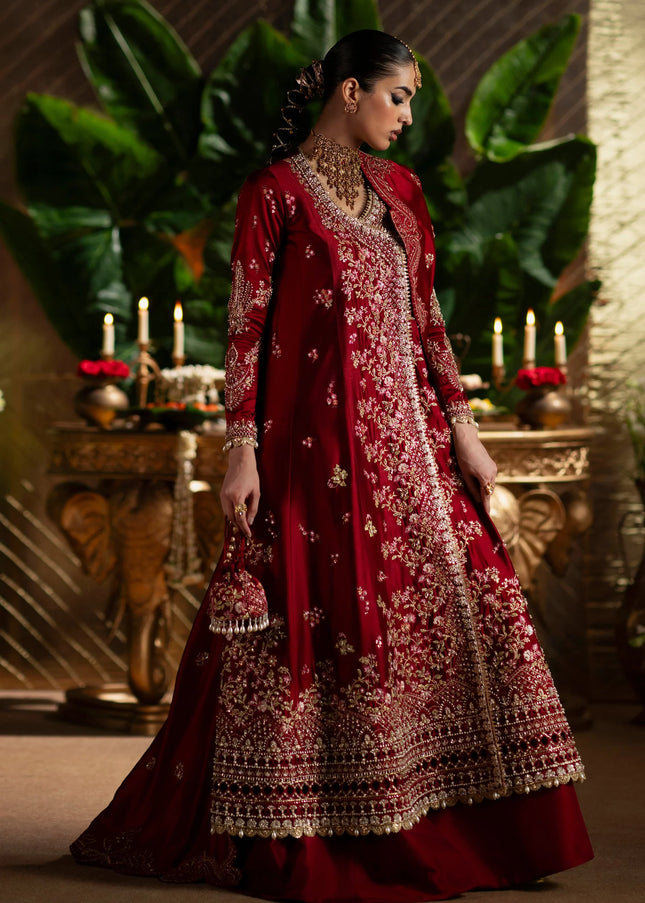 Saad Bin Shahzad | Laavni'25 - Alira