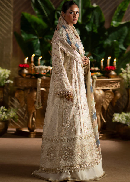 Saad Bin Shahzad | Laavni'25 - Sophia