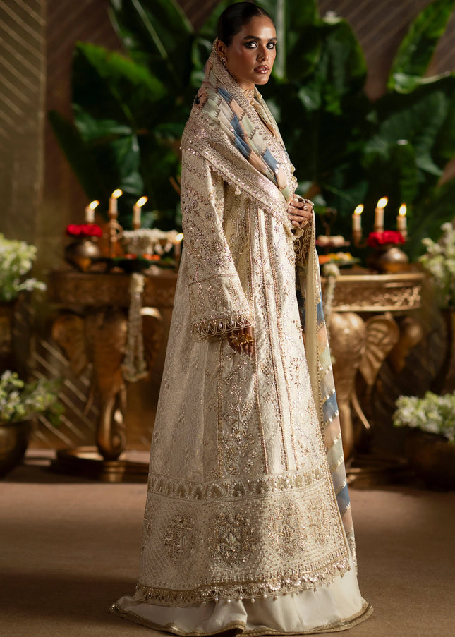 Saad Bin Shahzad | Laavni'25 - Sophia