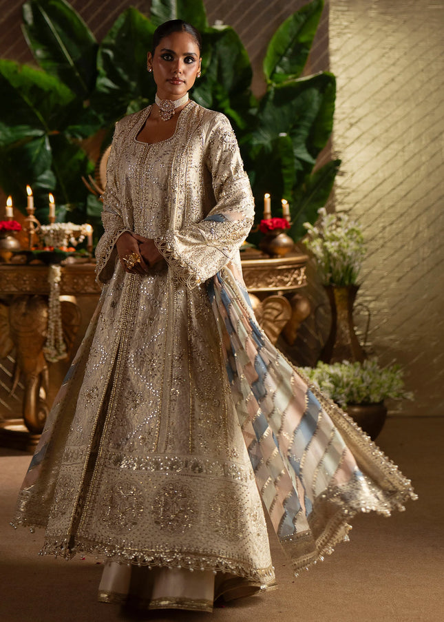 Saad Bin Shahzad | Laavni'25 - Sophia