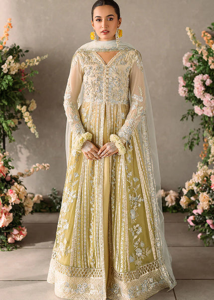 Mushq | Mastani Evening Luxury Chiffon Collection - Hira