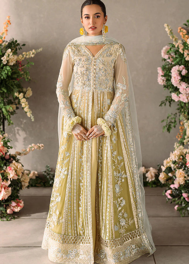 Mushq | Mastani Evening Luxury Chiffon Collection - Hira