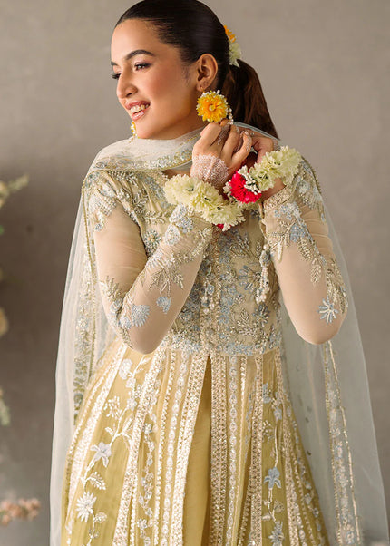 Mushq | Mastani Evening Luxury Chiffon Collection - Hira