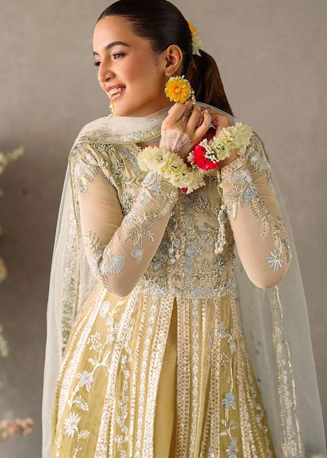 Mushq | Mastani Evening Luxury Chiffon Collection - Hira