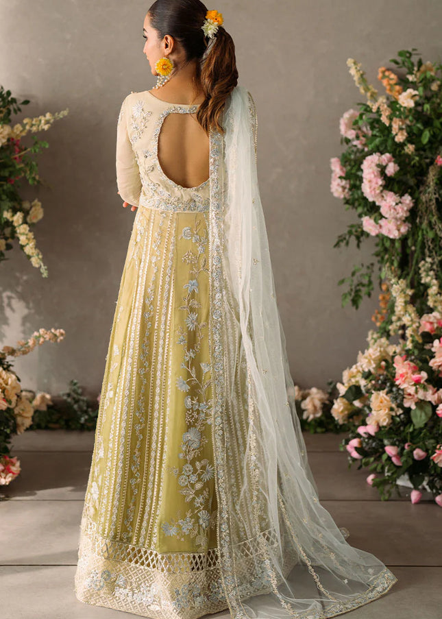 Mushq | Mastani Evening Luxury Chiffon Collection - Hira