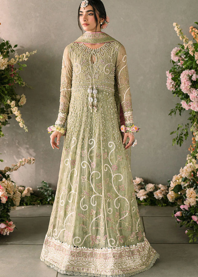 Mushq | Mastani Evening Luxury Chiffon Collection - Namar