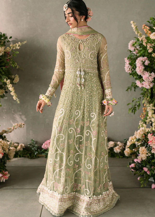 Mushq | Mastani Evening Luxury Chiffon Collection - Namar