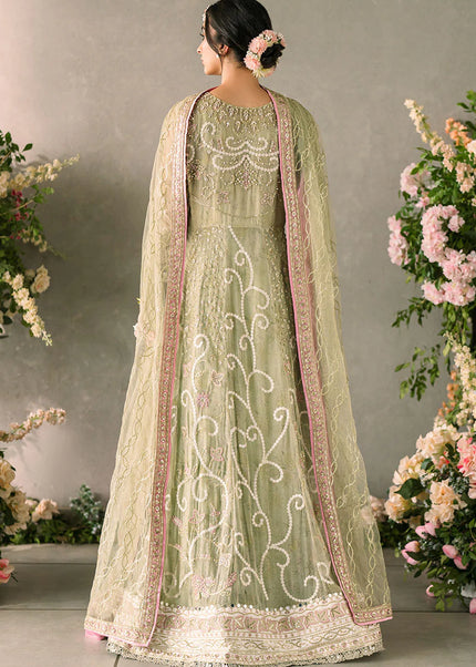 Mushq | Mastani Evening Luxury Chiffon Collection - Namar