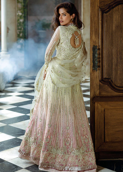 Mushq | Stardust Wedding Festive'24 - Cosmic Couture