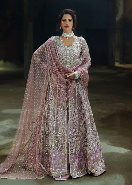 Mushq | Stardust Wedding Festive'24 - Spotlight Dreamer
