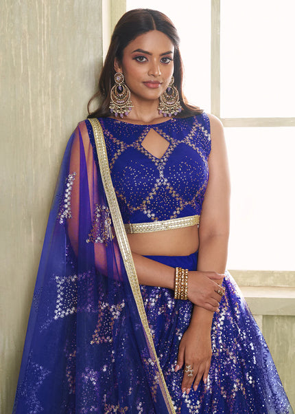 Butterfly Net Embroidered Lehenga Choli Series