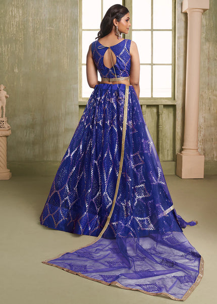 Butterfly Net Embroidered Lehenga Choli Series