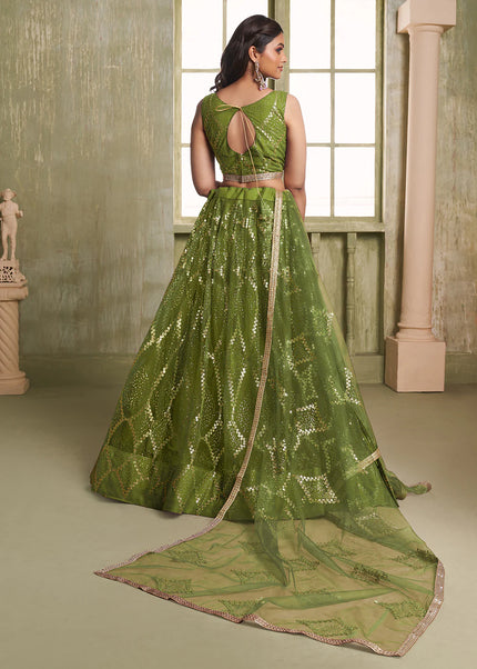 Butterfly Net Embroidered Lehenga Choli Series
