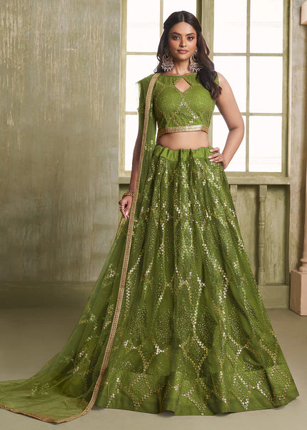 Butterfly Net Embroidered Lehenga Choli Series