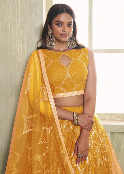 Butterfly Net Embroidered Lehenga Choli Series