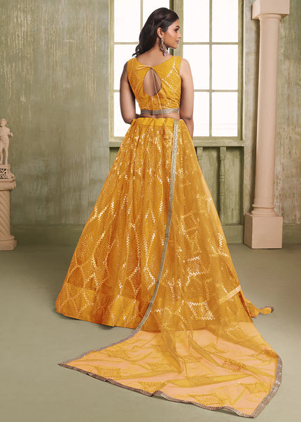 Butterfly Net Embroidered Lehenga Choli Series