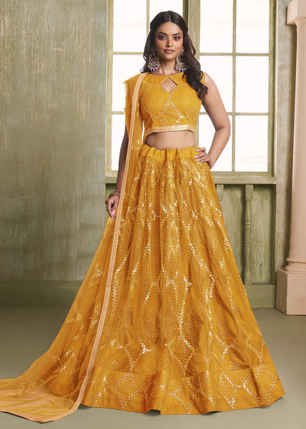 Butterfly Net Embroidered Lehenga Choli Series
