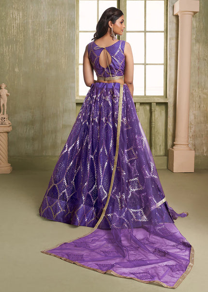 Butterfly Net Embroidered Lehenga Choli Series