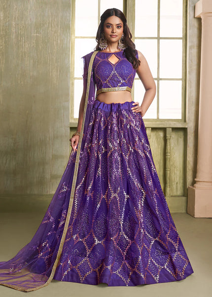 Butterfly Net Embroidered Lehenga Choli Series