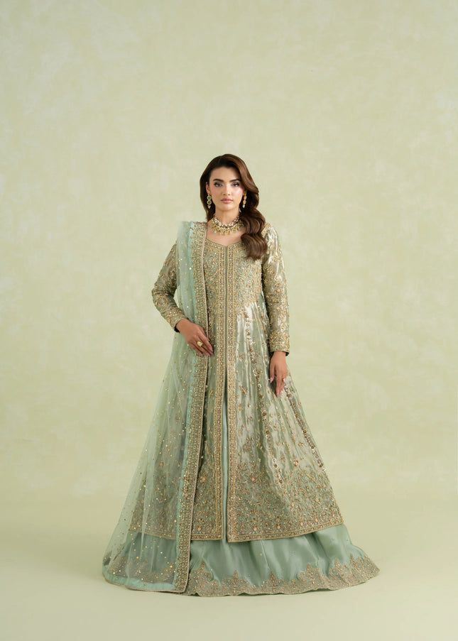 Carnation | Stella - Sage Green