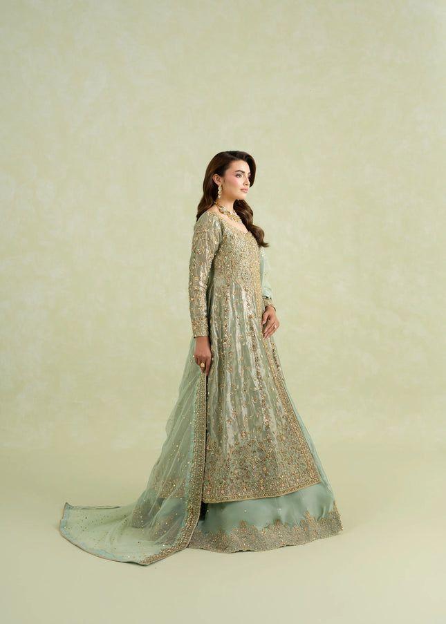 Carnation | Stella - Sage Green