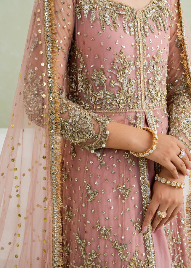 Carnation | Stella - Rose Pink