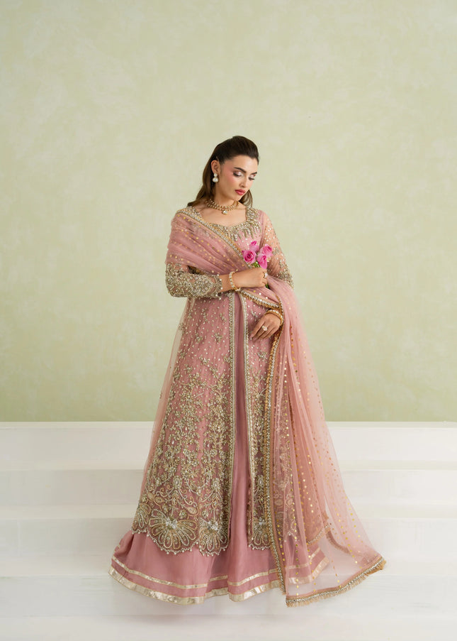 Carnation | Stella - Rose Pink