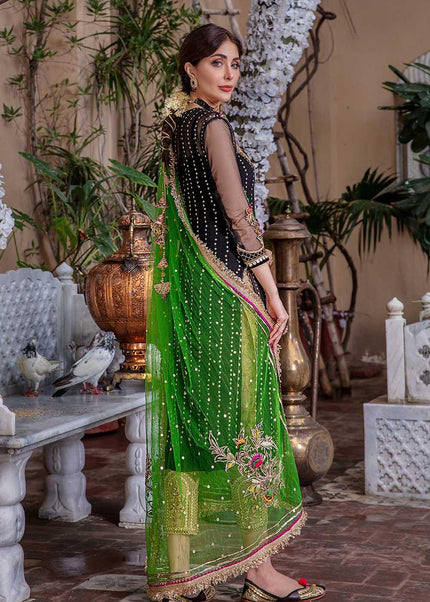 Crinkle Chiffon Hand Embroidered P-232