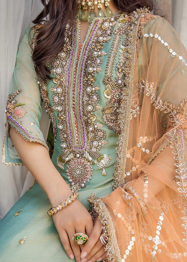 Pure Resham Mesuri Hand Embroidered P-237
