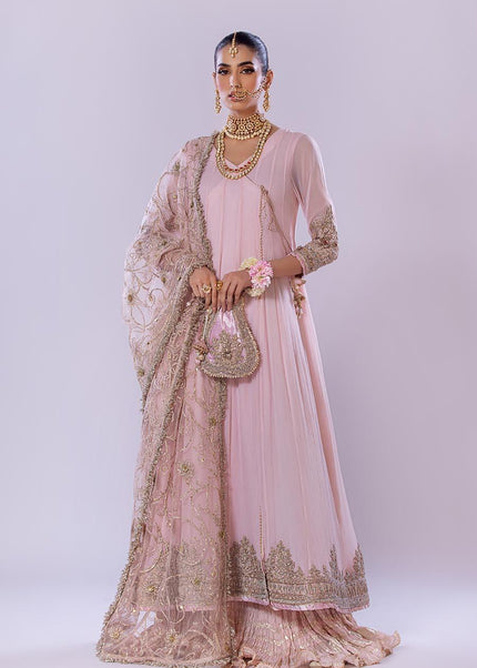 Crinkle Chiffon Hand Embroidered P-256