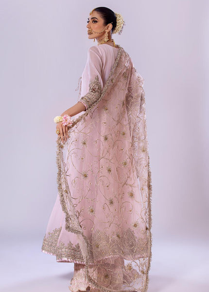 Crinkle Chiffon Hand Embroidered P-256