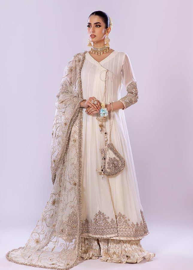 Crinkle Chiffon Hand Embroidered P-256