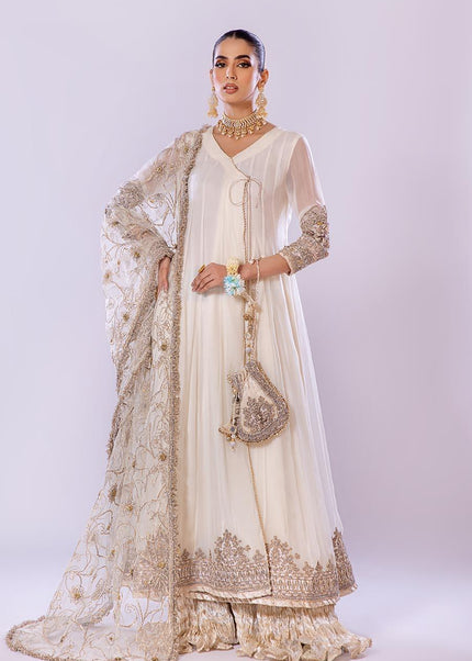 Crinkle Chiffon Hand Embroidered P-256